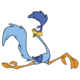 RoadRunner NM